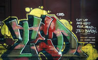 Evidently Self-Titled - Framed Sample