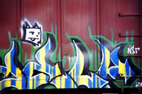 'Flame Guide' Boxcar Graffiti