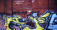 Orkid Wolf - Framed Sample