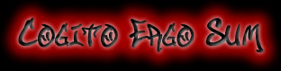 Cogito Ergo Sum